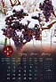  "VINO" color calendar