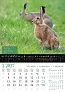  "KALENDAR LOVA" color kalendar