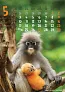 "ŽIVOTINJE" color kalendar