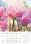  "CVIJEĆE" color calendar