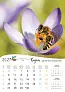  "PČELE" color kalendar