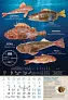  "S RIBARNICE" color calendar