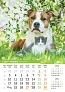  "PSI i MAČKE" color kalendar