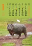  "ŽIVOTINJE" color kalendar