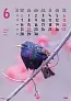  "ŽIVOTINJE" color kalendar