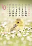  "ŽIVOTINJE" color kalendar