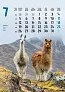  "ŽIVOTINJE" color kalendar