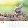  "SEOSKA IDILA" color calendar