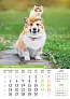  "PSI i MAČKE" color kalendar