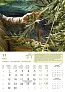  "MASLINE" color calendar