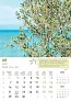  "MASLINE" color calendar