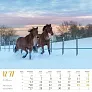  "SEOSKA IDILA" color calendar