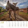  "SEOSKA IDILA" color calendar