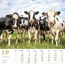  "SEOSKA IDILA" color calendar