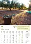  "MASLINE" color calendar