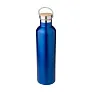 Damien Stainless steel double walled bottle