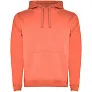 Urban muški hoodie, 280 g/m² - Roly