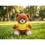 Josh Brown Plush teddy bear
