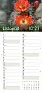  "CVJETNI PLANER" 13 list., dim: 22x55cm,  PVC vrećica, P/50, color kalendar