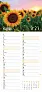  "CVJETNI PLANER" 13 list., dim: 22x55cm,  PVC vrećica, P/50, color kalendar