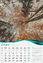  "ŠUME, VODE I MORE" color calendar