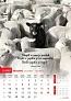  "MOTIVACIJSKI KALENDAR" color kalendar