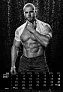  "MASCULINE" 13 sheets, format: 33x55cm, PVC bag, P/25, color calendar