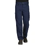 CRAFT PANTS RADNE HLAČE - TEKTON PRO