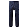 CRAFT PANTS RADNE HLAČE - TEKTON PRO