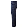 CRAFT PANTS RADNE HLAČE - TEKTON PRO