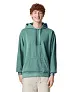  ADULT HOODED SWEATSHIRT - Comfort Colors